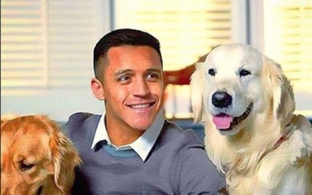 alexis